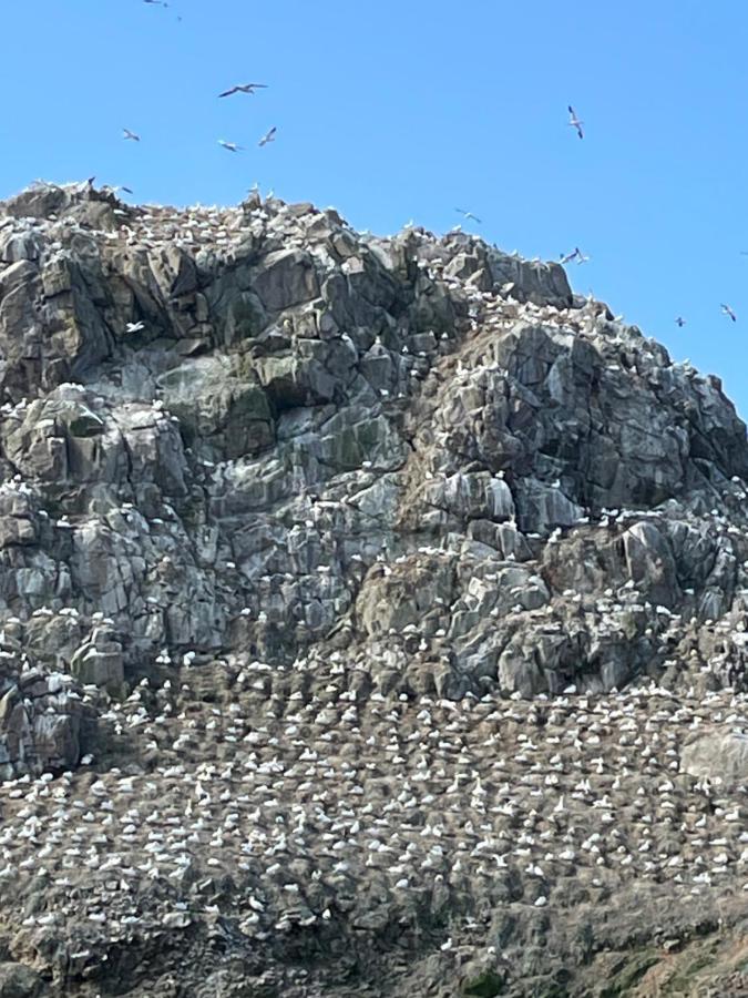 Gites Le Rucher De Kerillis Plouguiel Buitenkant foto
