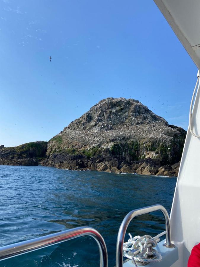 Gites Le Rucher De Kerillis Plouguiel Buitenkant foto