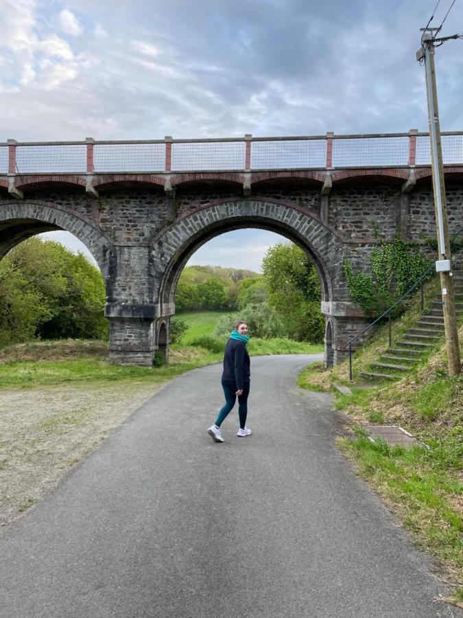 Gites Le Rucher De Kerillis Plouguiel Buitenkant foto